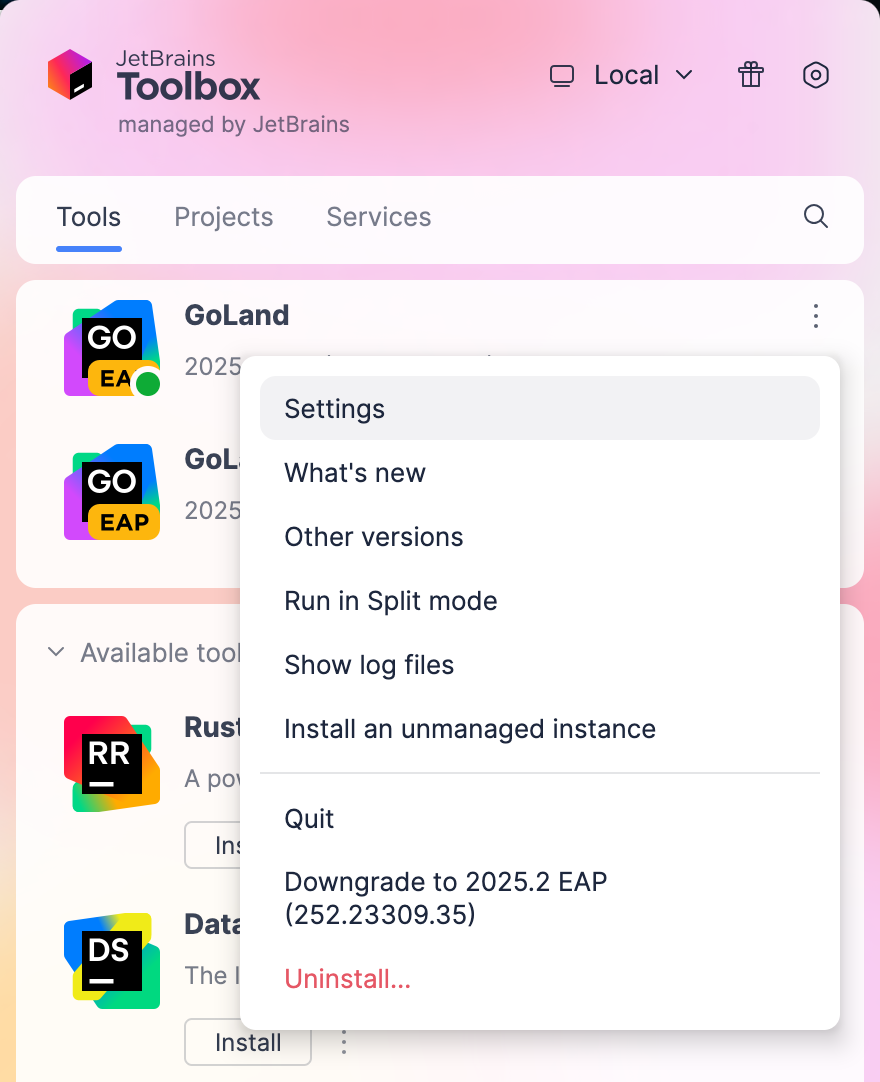 Opening IDE instance settings in Toolbox App