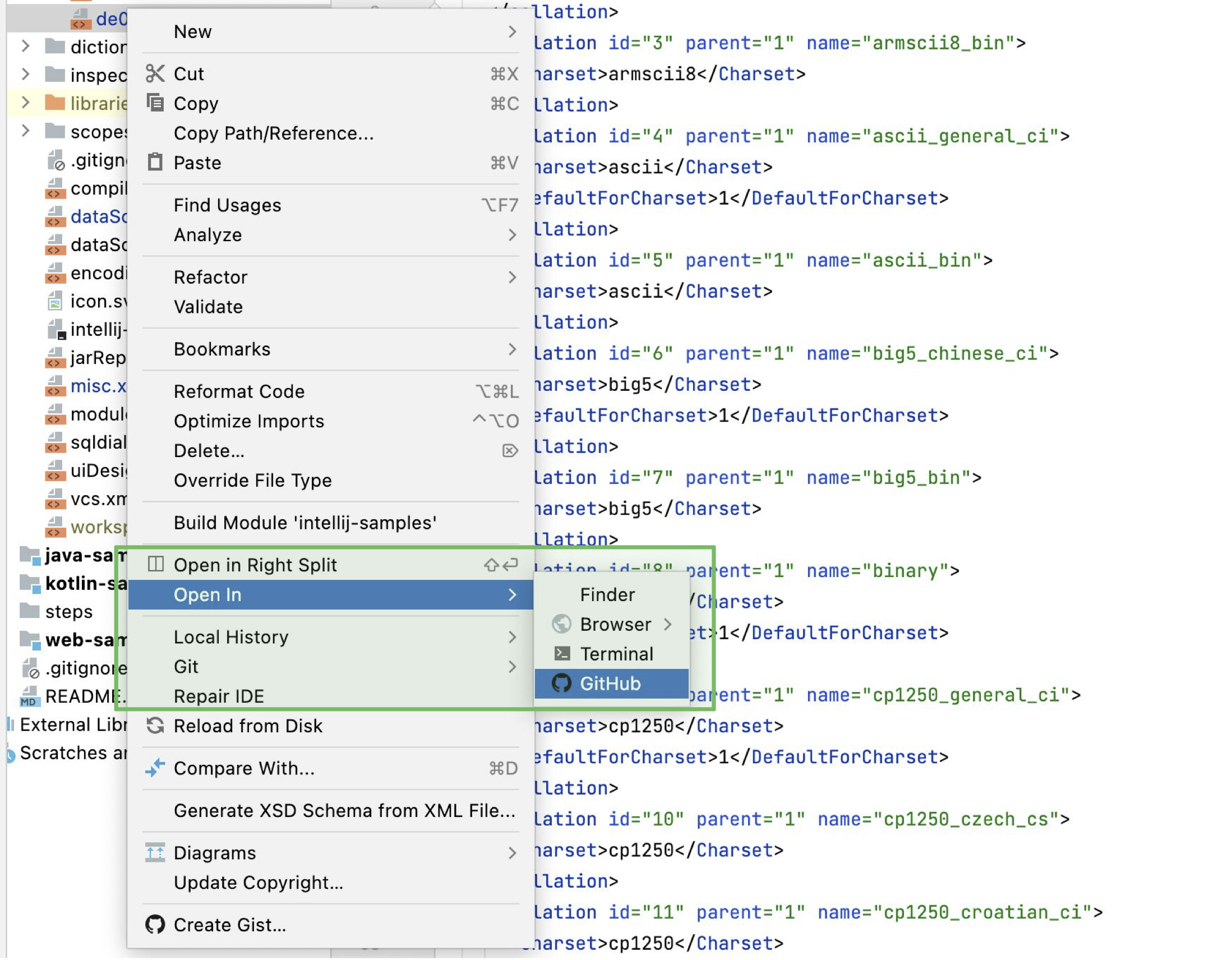 打开 GitHub 版本的文件 打开 GitHub 版本的文件