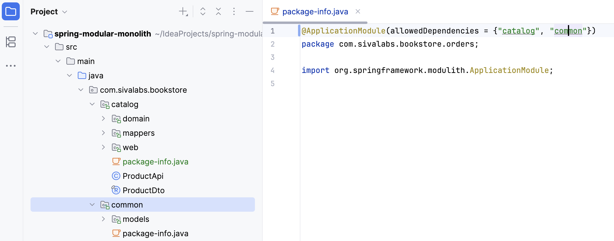 A selected module in the Project tool window