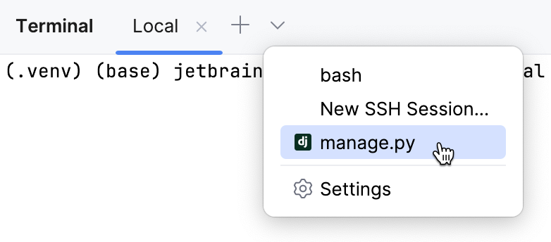Opening manage.py in the terminal Opening manage.py in the terminal