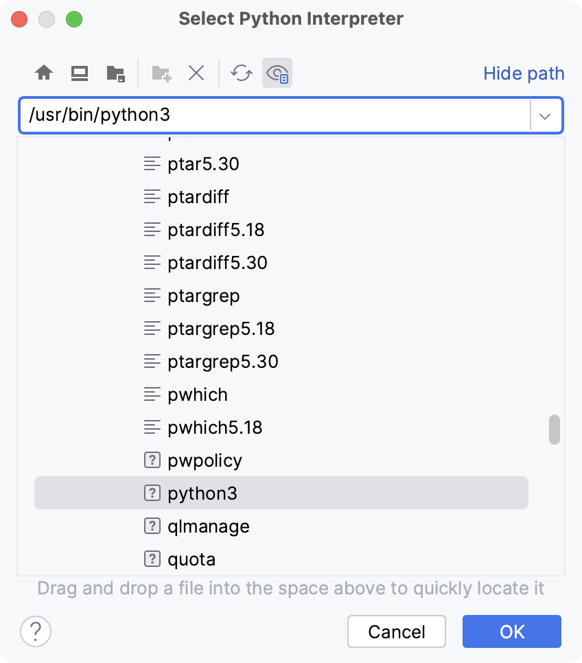 选择 Python 可执行文件 选择 Python 可执行文件