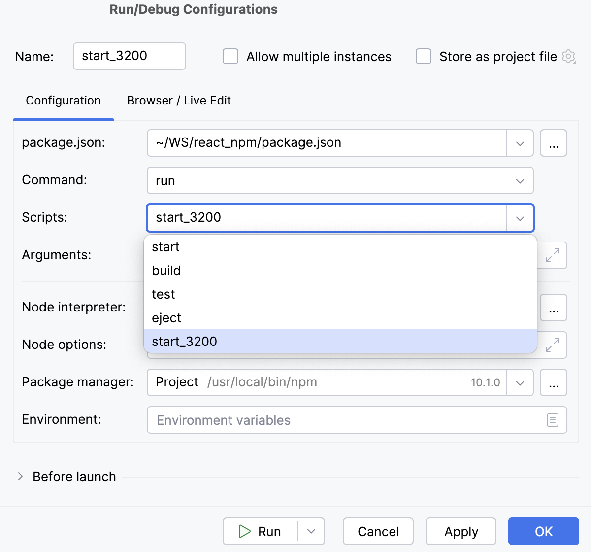 npm run/debug configuration npm run/debug configuration