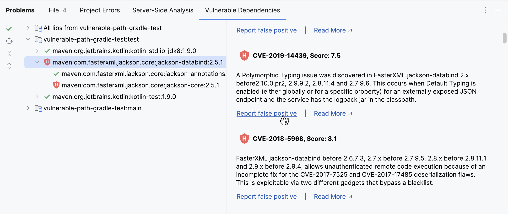 Report false vulnerable dependency Report false vulnerable dependency