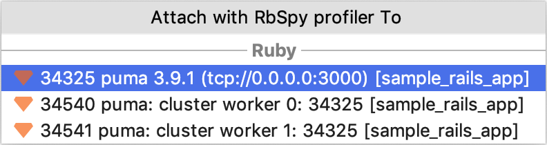 Attach with RbSpy Profiler to Attach with RbSpy Profiler to