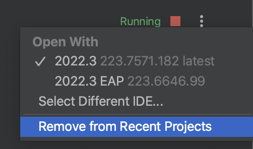停止 IDE Backend 停止 IDE Backend
