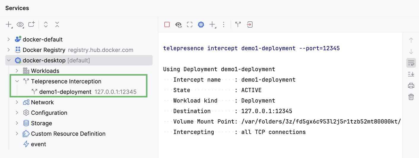 Telepresence Interception in the Services tool window Telepresence Interception in the Services tool window