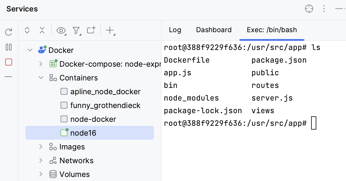 The Exec tab with /bin/bash running The Exec tab with /bin/bash running
