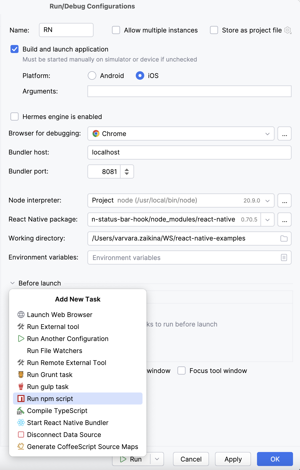 Add an npm script as a Before launch task Add an npm script as a Before launch task