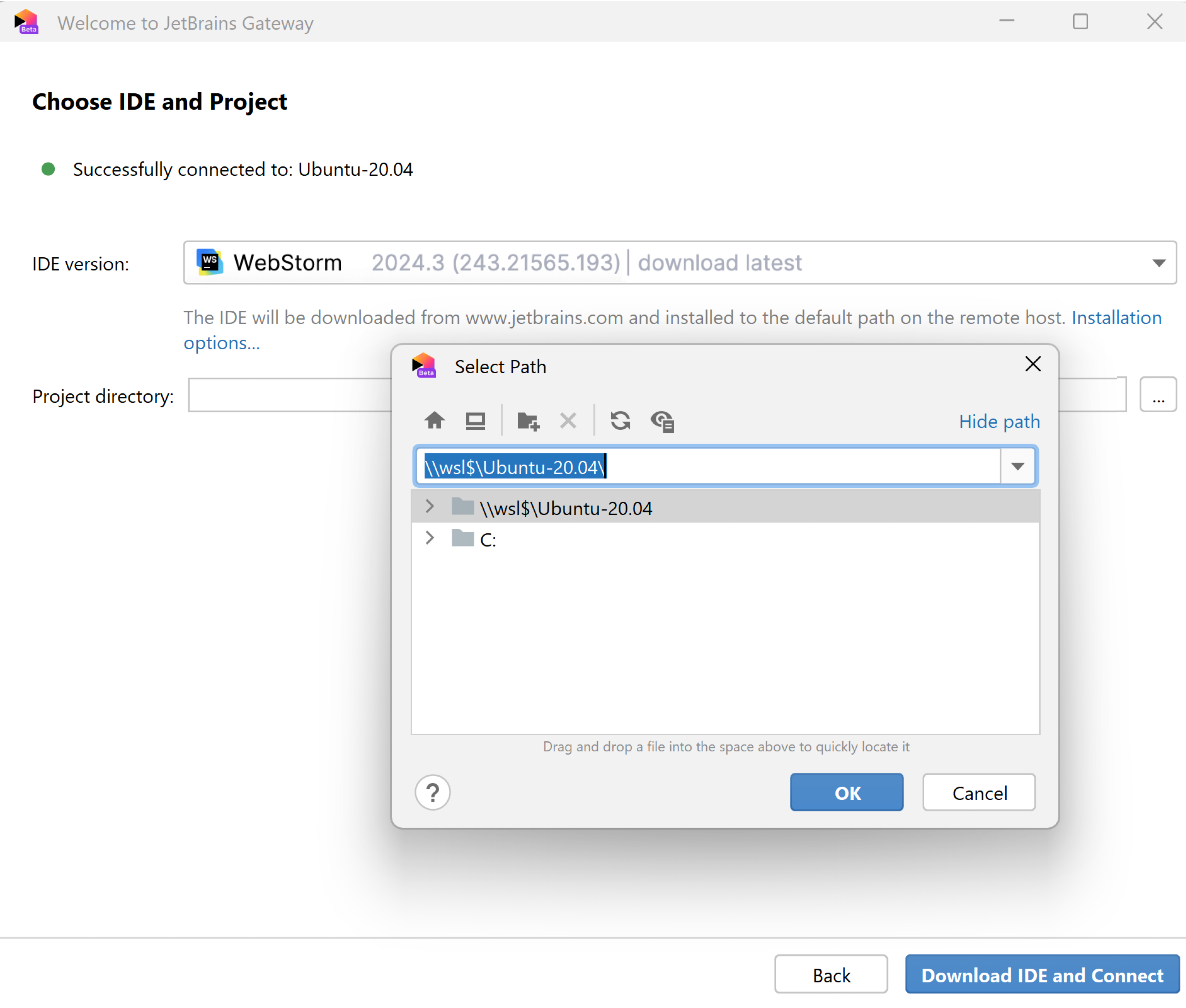 Choose the IDE version and a project