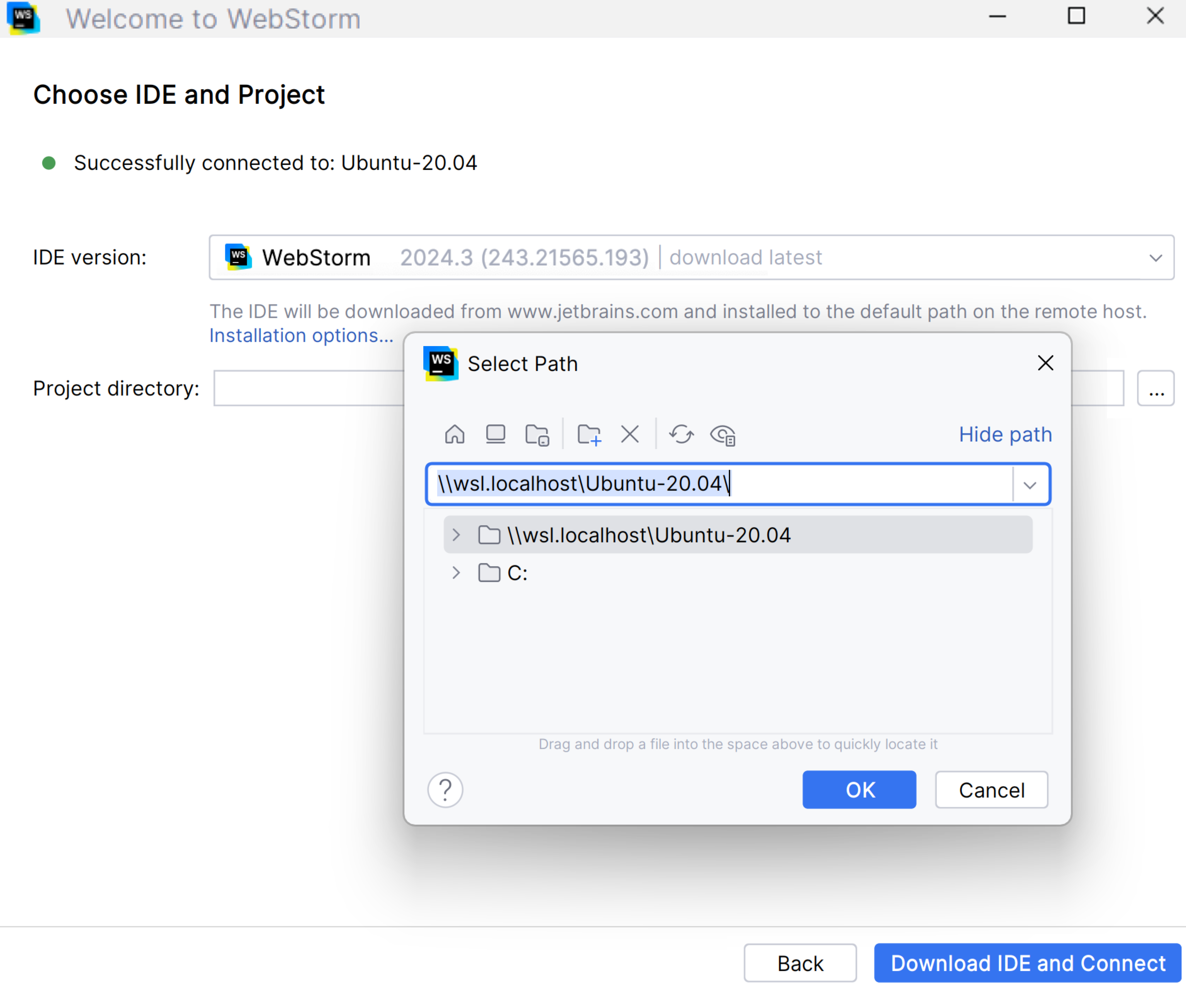 Choose the IDE version and a project