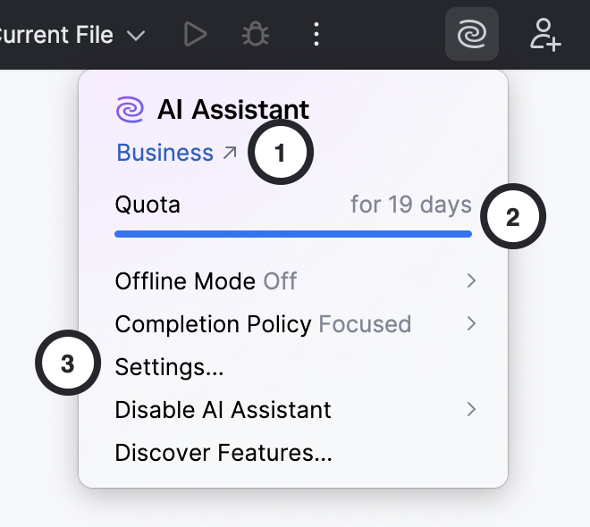 JetBrains AI key settings
