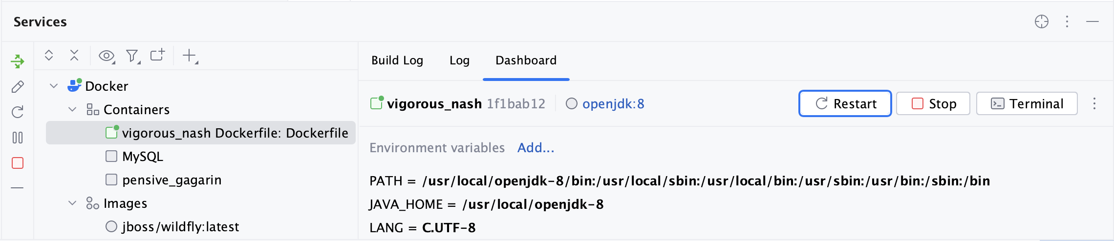 The Dashboard tab of a container selected in the Services tool window The Dashboard tab of a container selected in the Services tool window