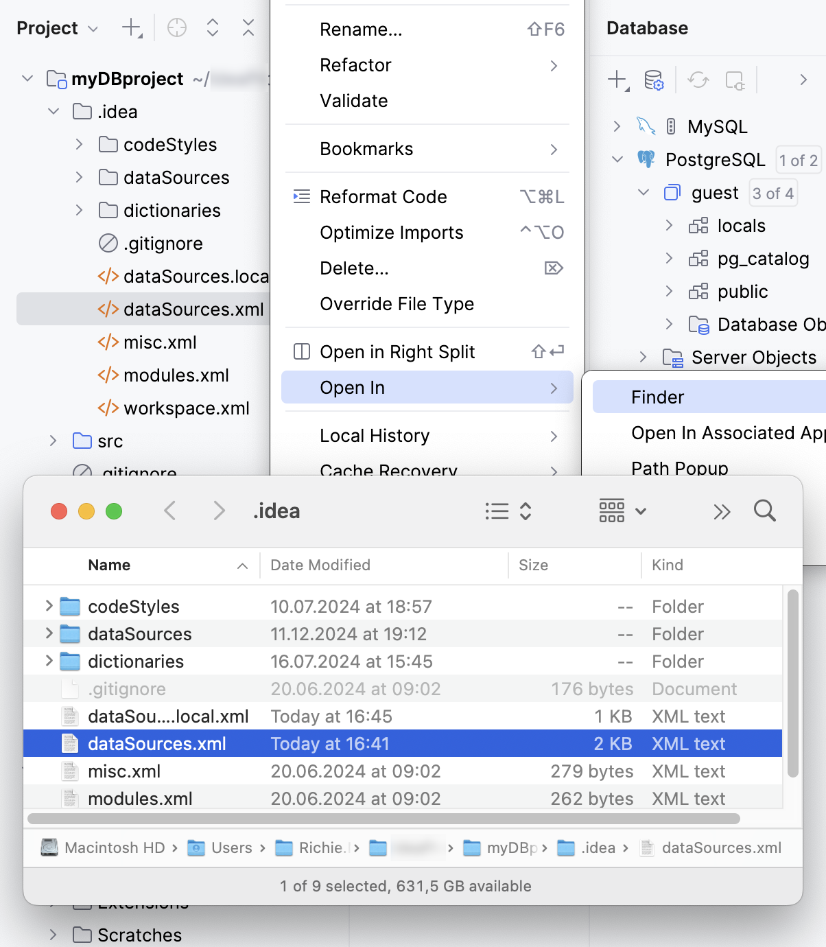 Locate the dataSources.xml file