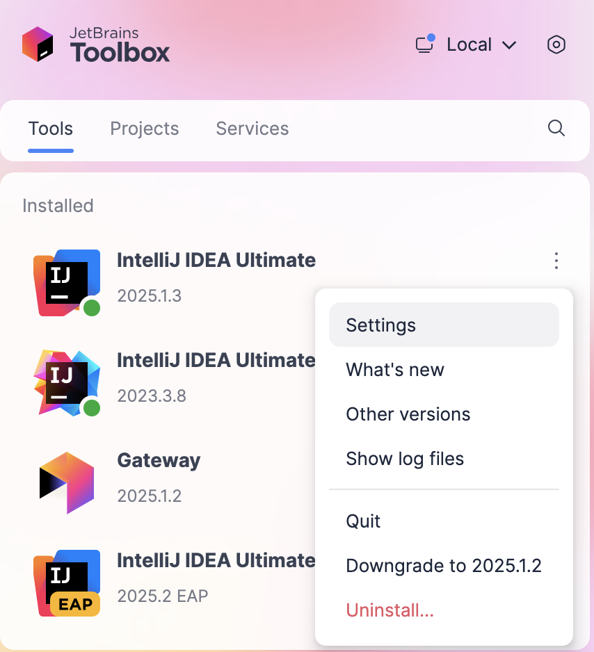 Opening IDE instance settings in the Toolbox App