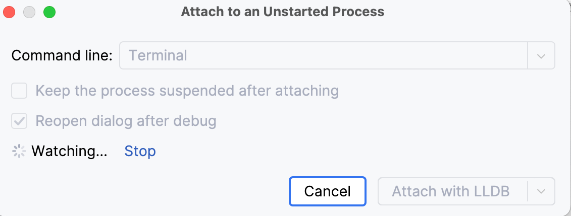 JetBrains Rider awaits the indicated process