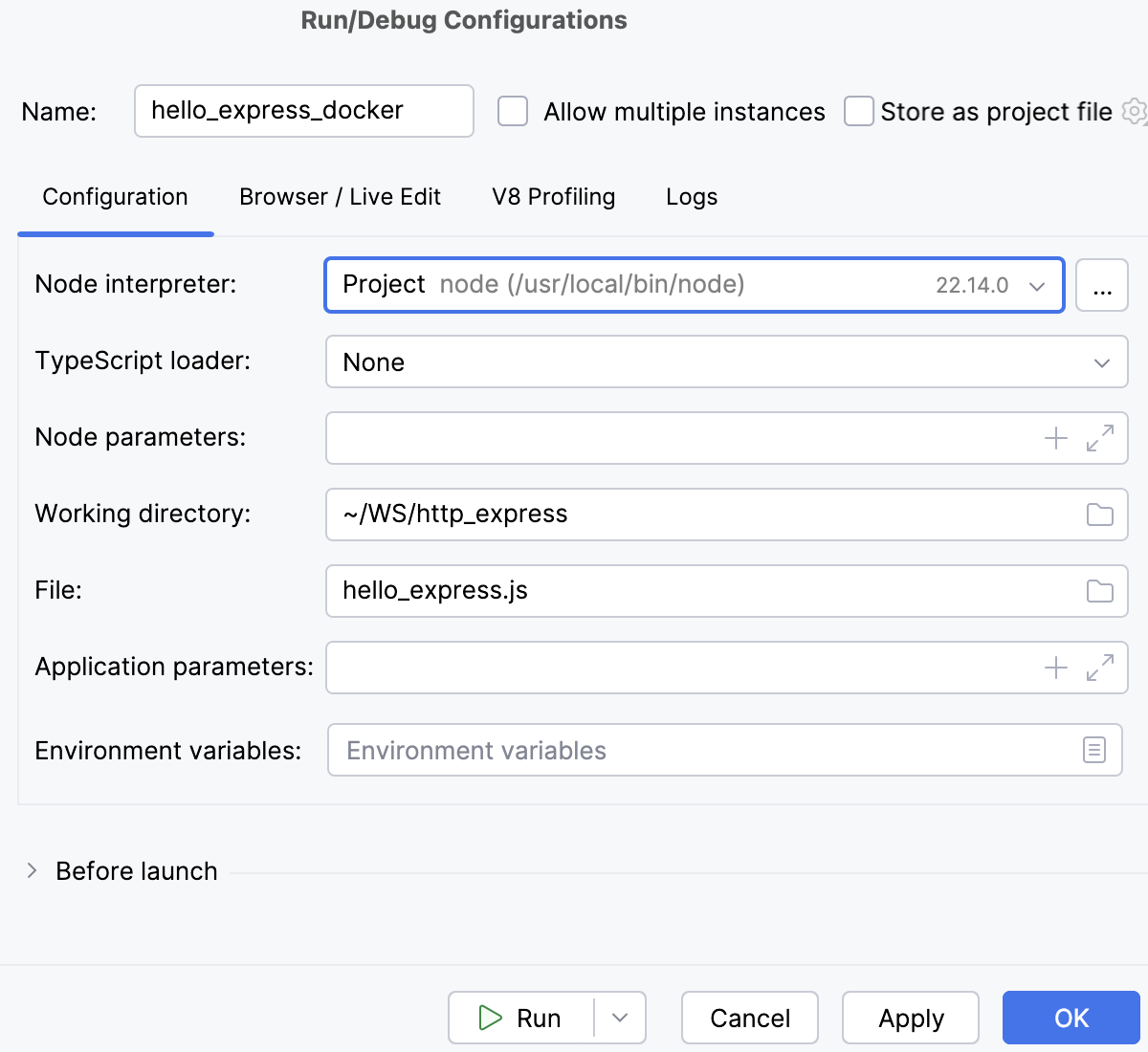 Node.js with Docker: run/debug configuration, Docker container settings