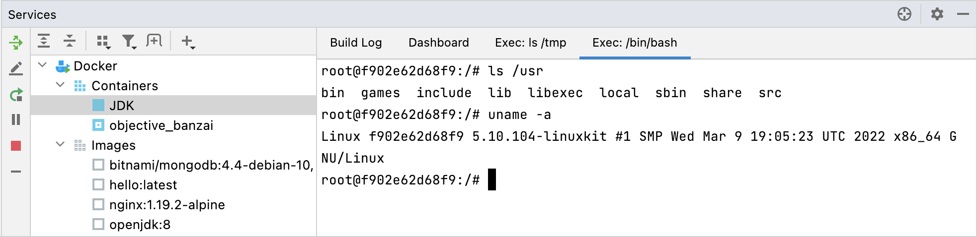 Exec 选项卡，正在运行 /bin/bash