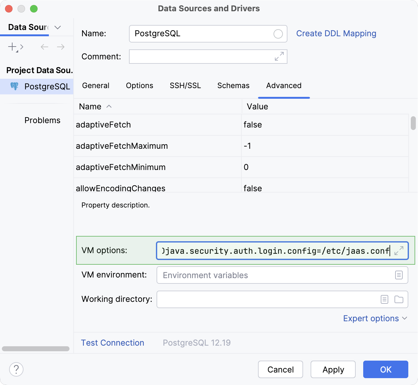 在 PostgreSQL 数据源属性中设置 VM 选项 在 PostgreSQL 数据源属性中设置 VM 选项
