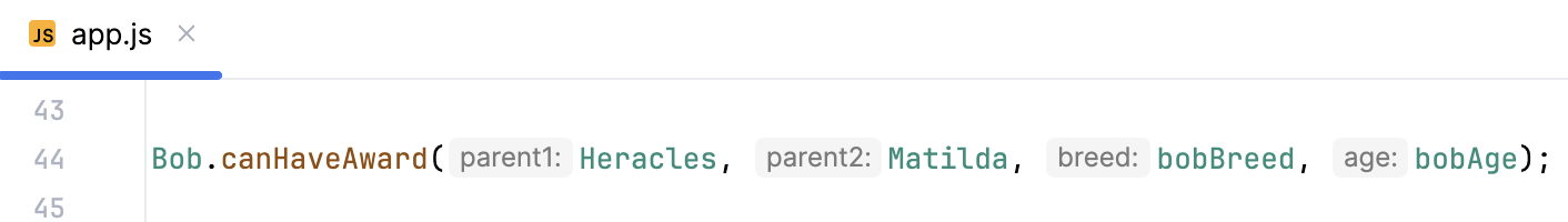 JavaScript 中的参数提示