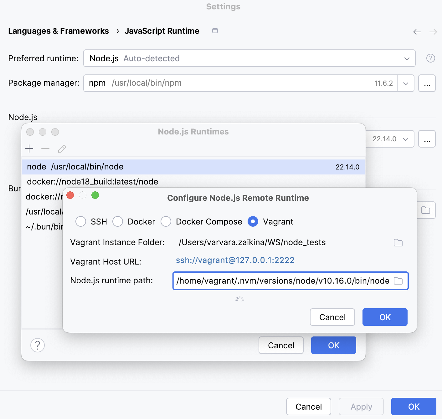 在 Vagrant 环境中配置远程 Node.js 运行时：指定实例文件夹和 Node 可执行文件的位置
