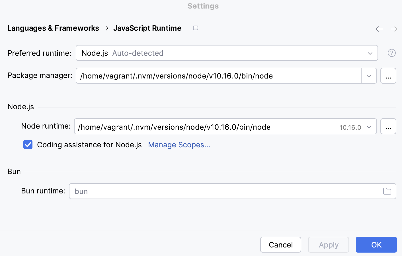 配置远程 Node.js 运行时：已指定包管理器