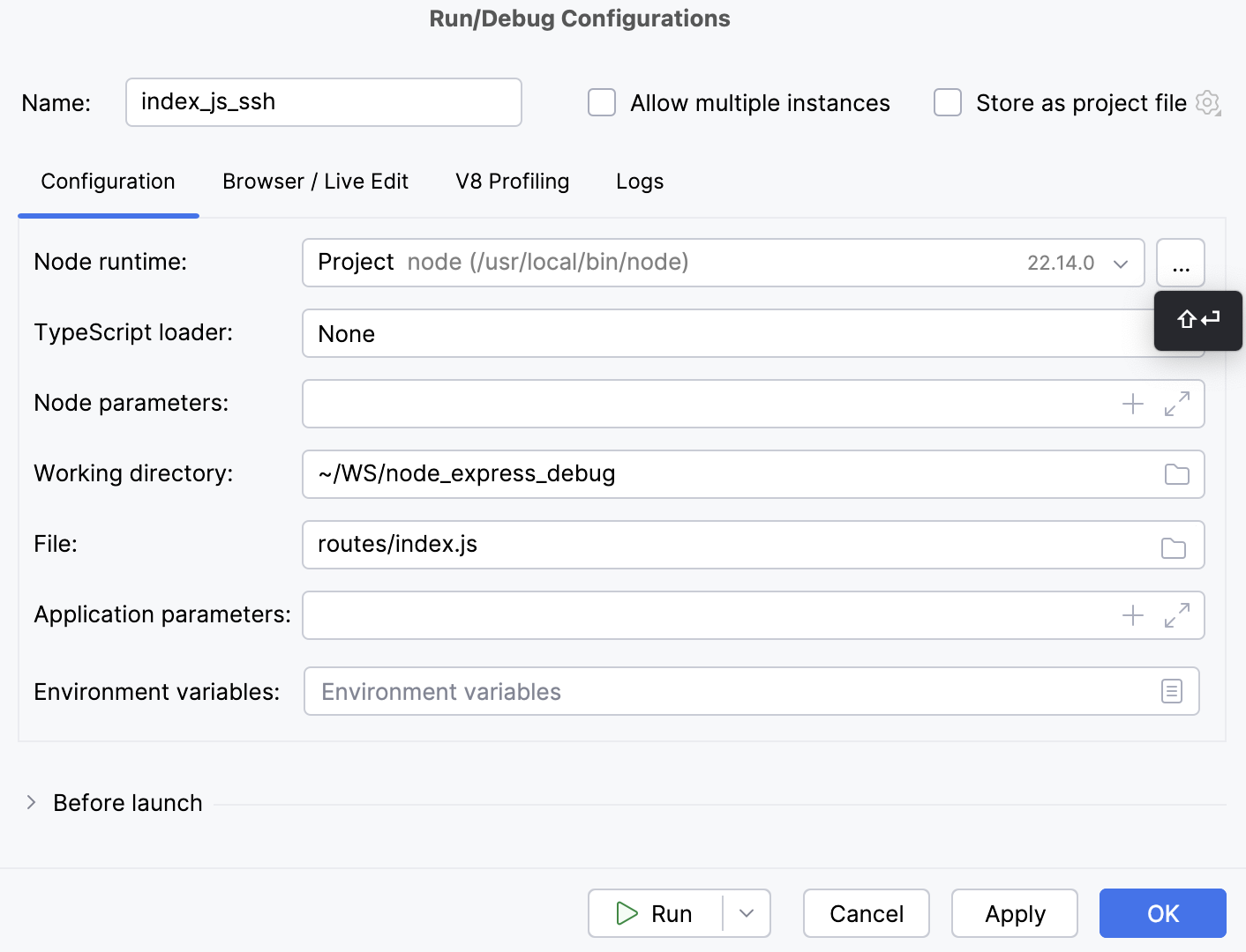 Node.js 运行/调试配置：已指定文件
