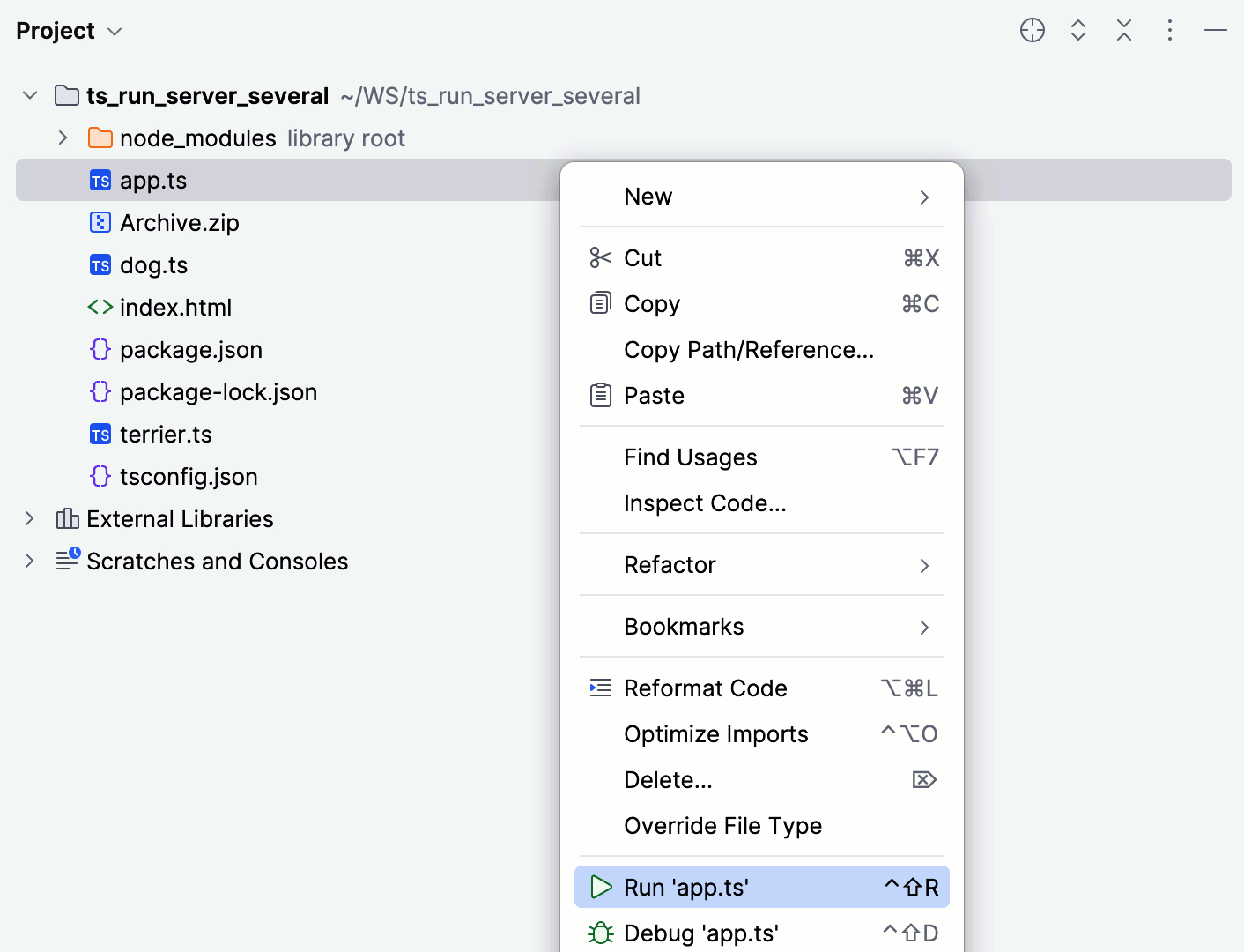 在“项目”工具窗口中运行服务端 TypeScript
