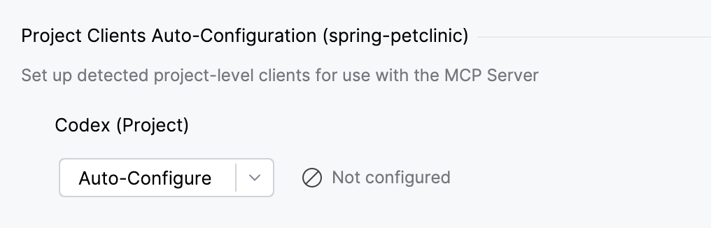 Autoconfigure client's project-level configuration Autoconfigure client's project-level configuration