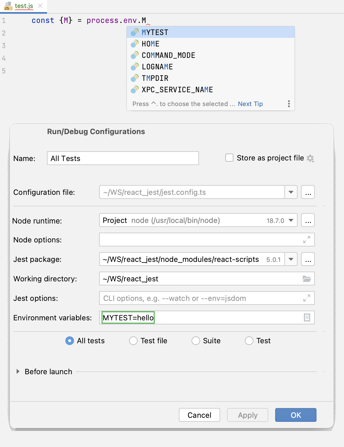 Completion for environment variables from Jest run configuration