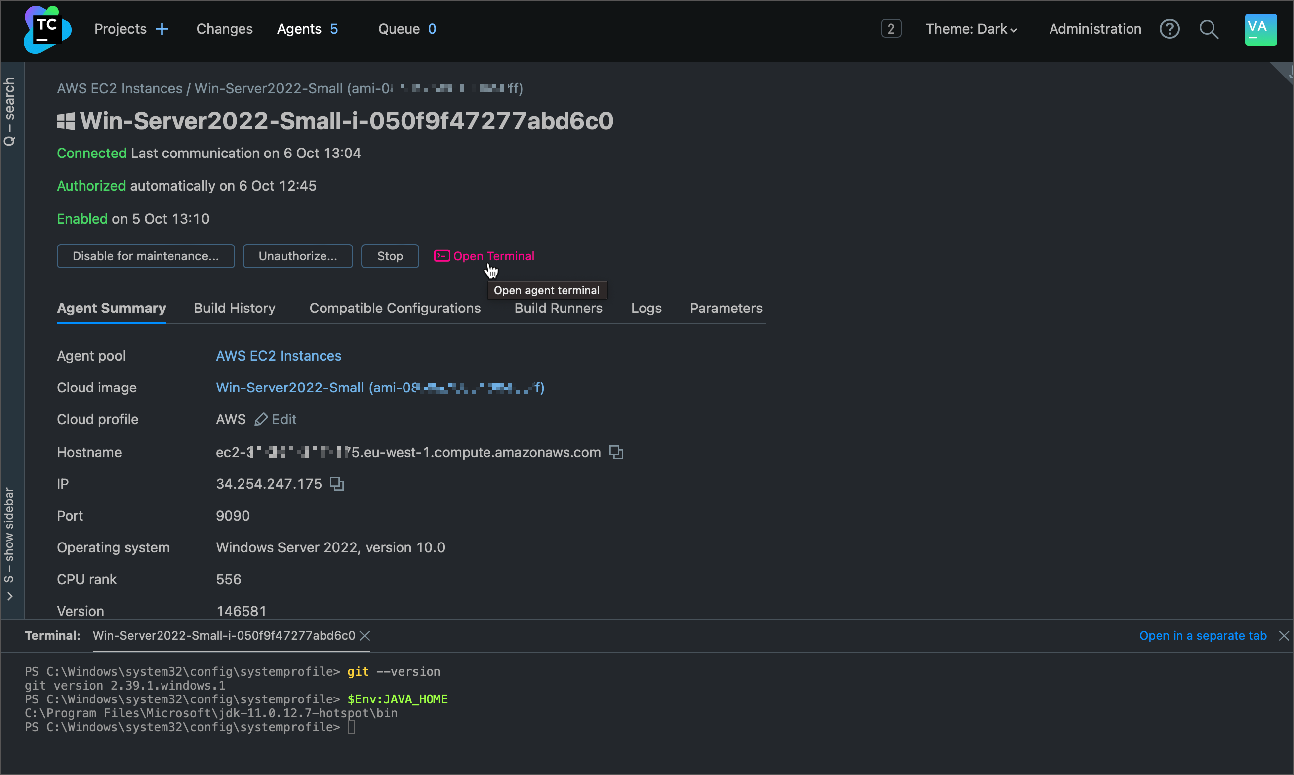 Install and Start TeamCity Agents | TeamCity Cloud Documentation