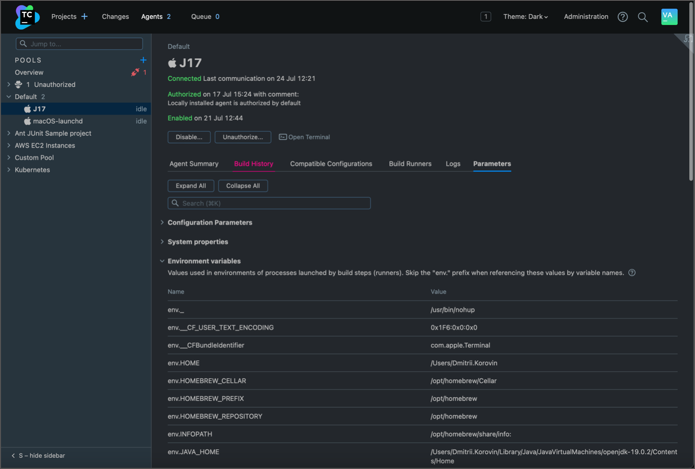 新的 Agent 参数标签页