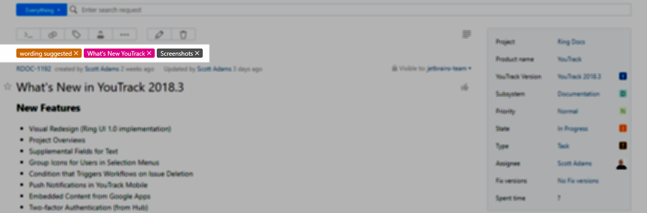 Single issue view tags Single issue view tags