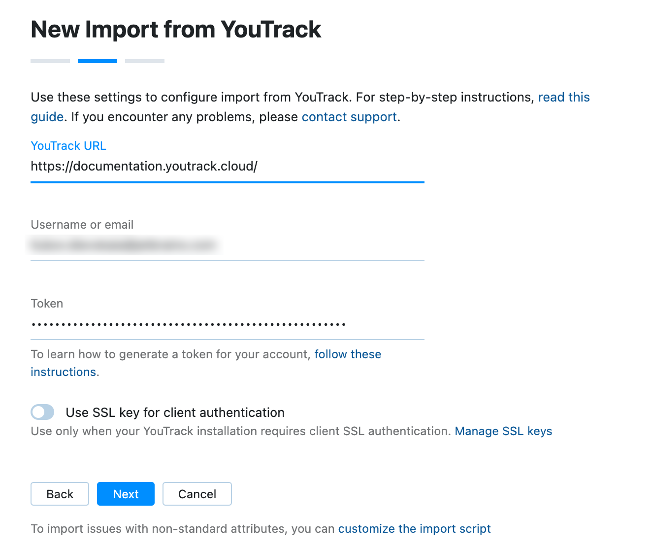 YouTrack import settings YouTrack import settings